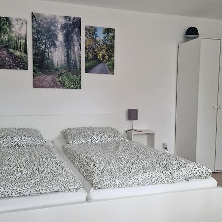 Waldbergperle Ernsbach Hotel Forchtenberg Buitenkant foto